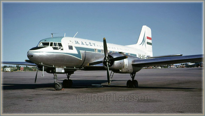 HA-MAE IL-14