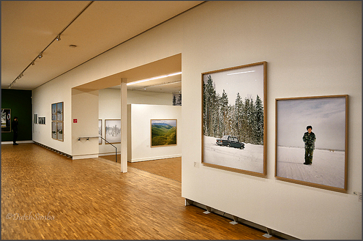 Borealis - Live in the Woods | Exhibition