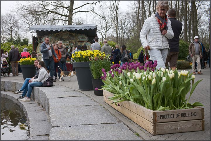 Keukenhof @Lisse 12Apr2022