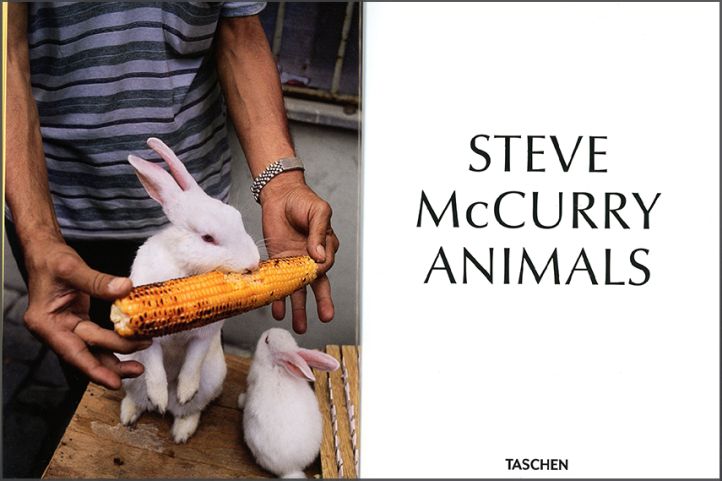 Animals, photography by Steve McCurry (Taschen, 2024)