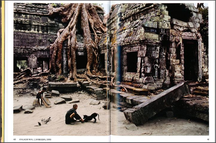 Animals, photography by Steve McCurry (Taschen, 2024)