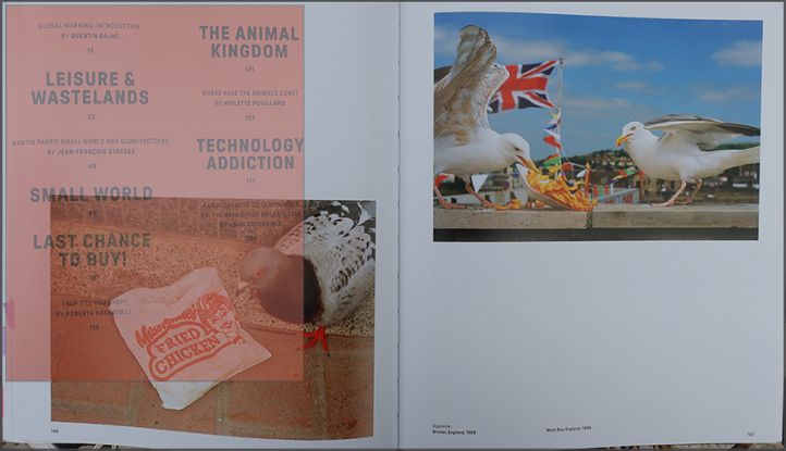 Martin Parr - Global Warning (Phaidon / Jeu de Paume)