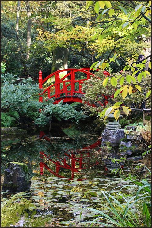 Clingendael Parkland - Japanese Garden