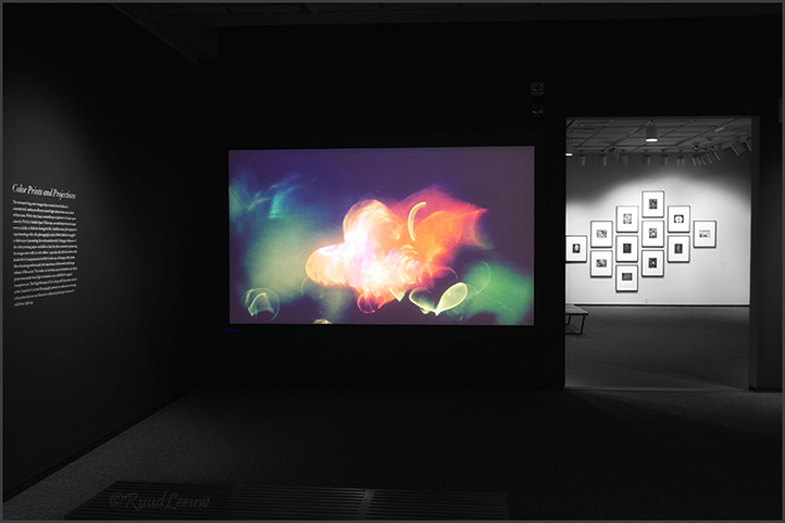 Wynn Bullock - 2017 Revelations exhibition