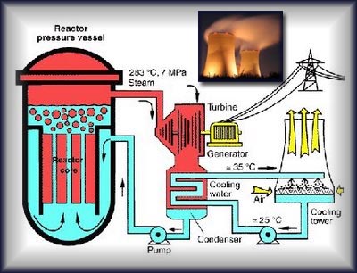Nuclear Power Plants