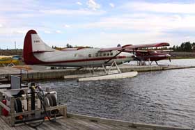C-GUTL