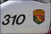CDF Insignia