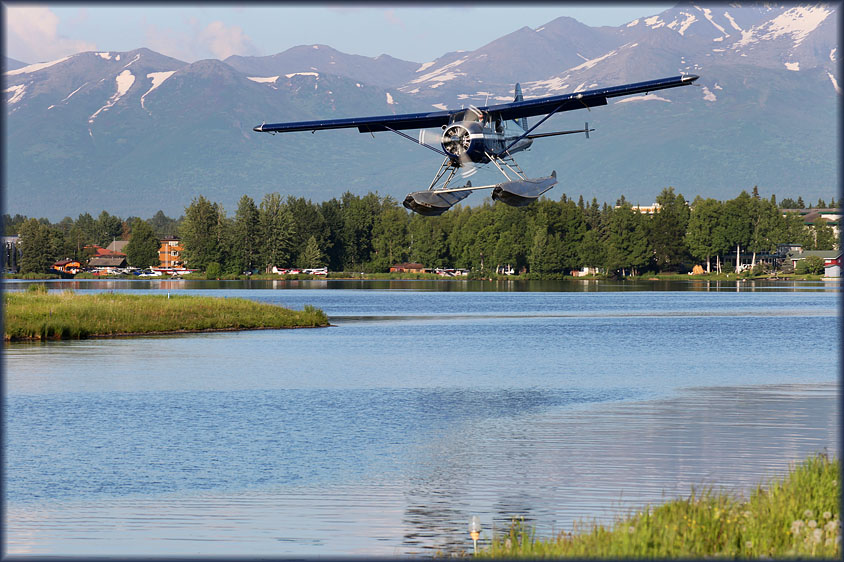 Lake Hood planes