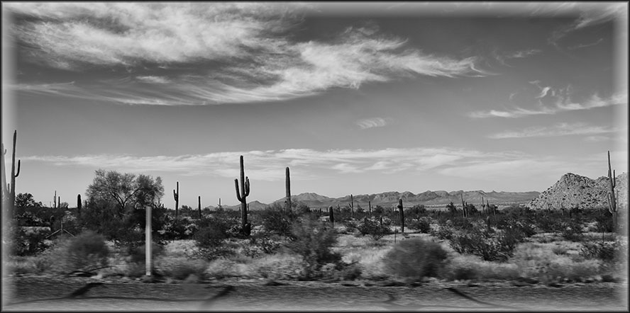 Arizona desert