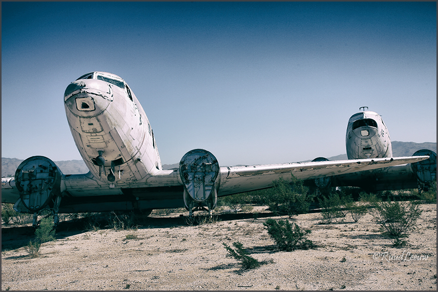 ARM / DMI salvage yard