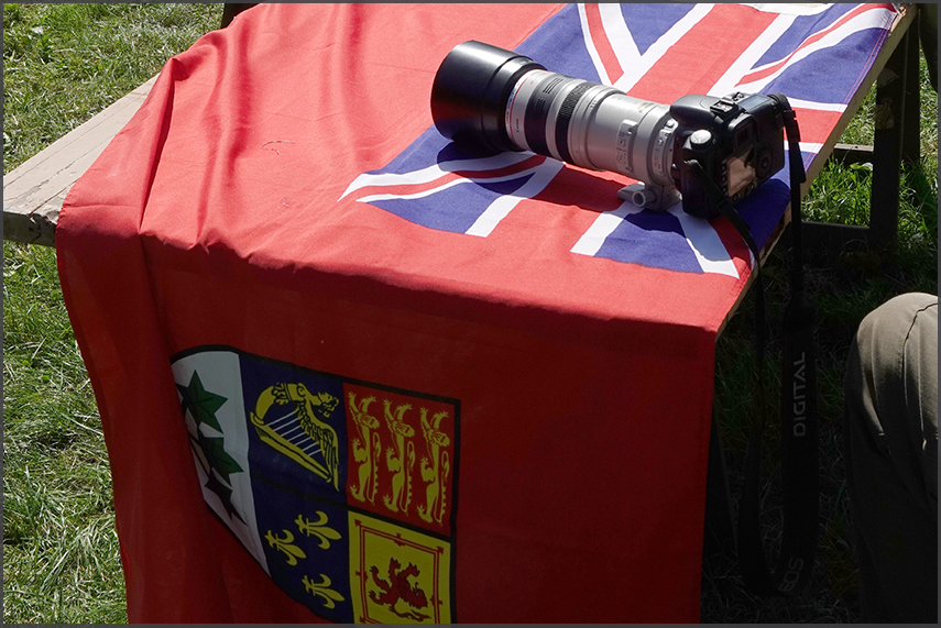 Wings of Freedom (2019), Ede, NL