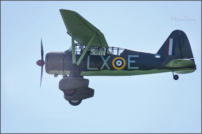 Wings of Freedom (2019), Ede, NL
