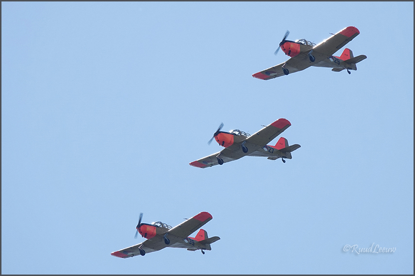 Wings of Freedom (2019), Ede, NL