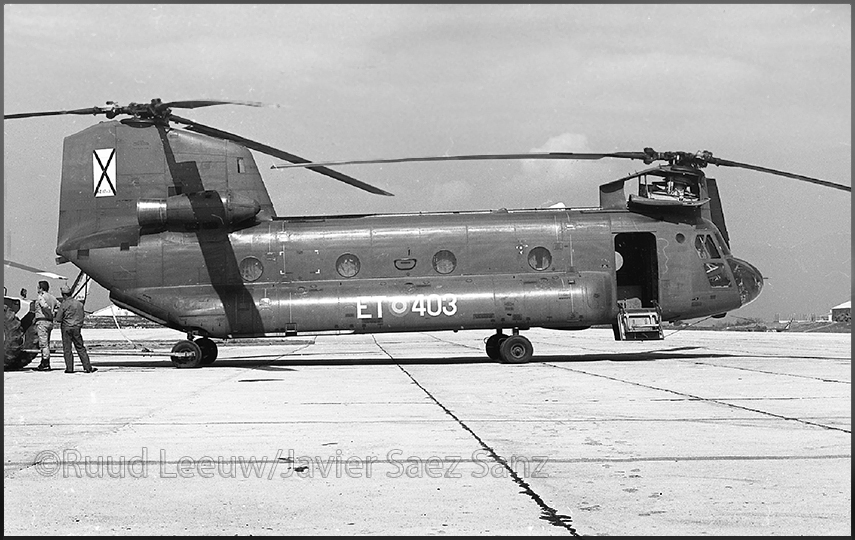 Chinook, by Javier Saez Sanz