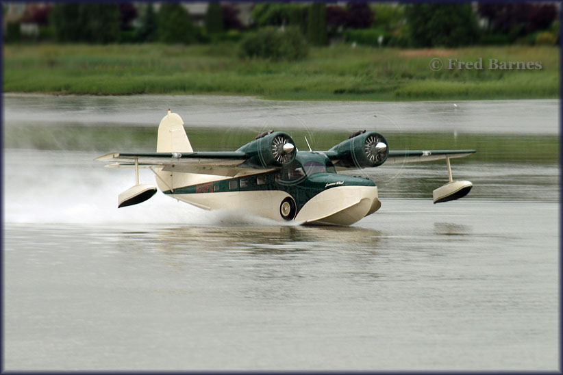 G.41 Goose N39FG