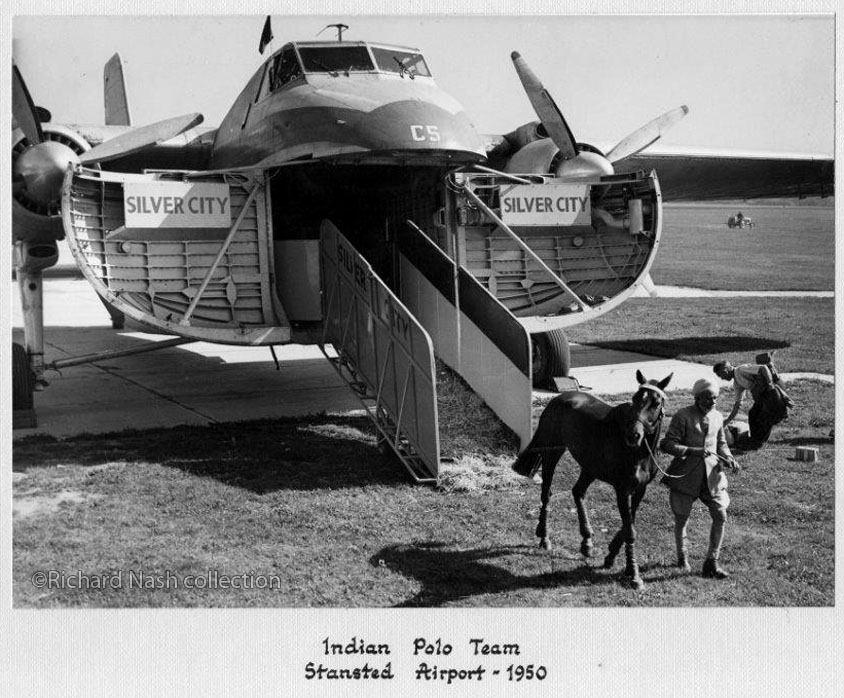 Bristol Freighter on horse charter