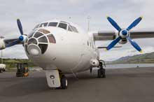 UN-11012