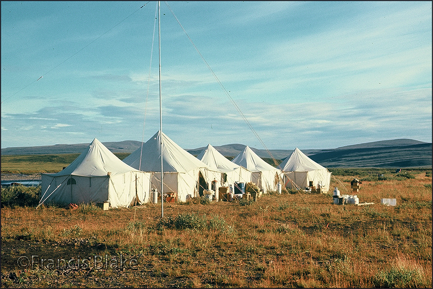 Accommodation at Driftwood,AK