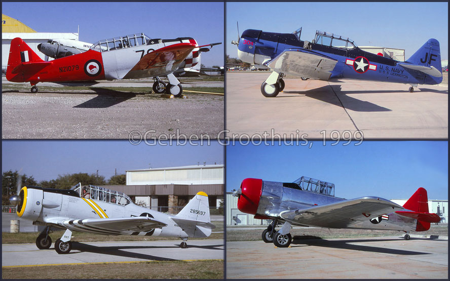 Texans in Texas, 1999