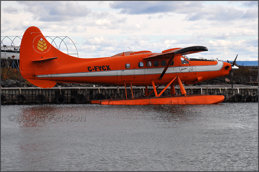 DHC-3T C-FYCX by David Perston (2021)