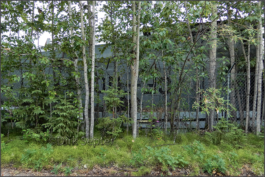 CF-FNC wing in Everts' salvage yard (Fairbanks)