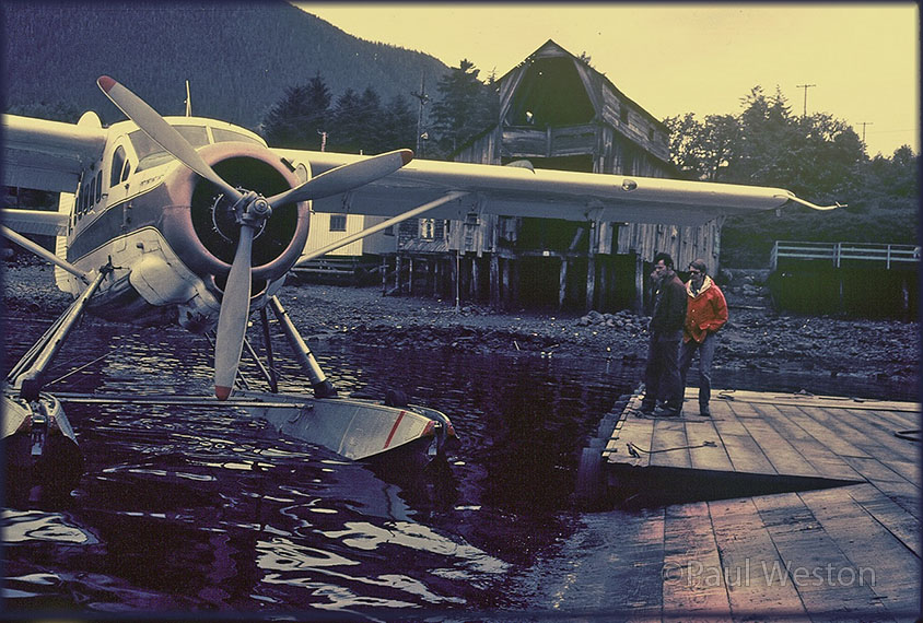 DHC-3 N3382 by Paul Weston