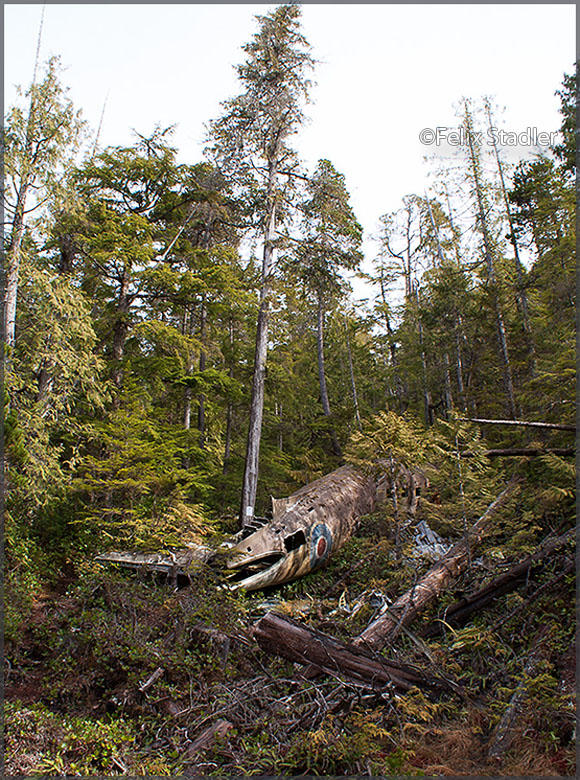 C-47 wreck near Port Hardy