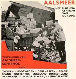 Flower industry and Schiphol