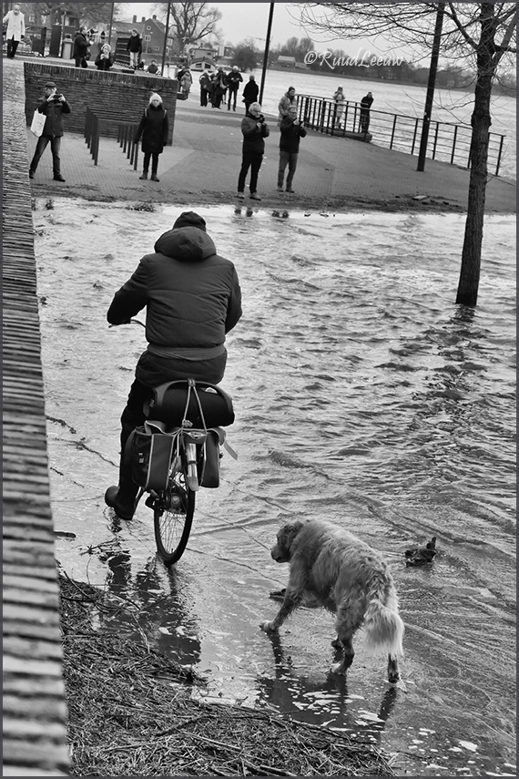 Zutphen 28Dec23