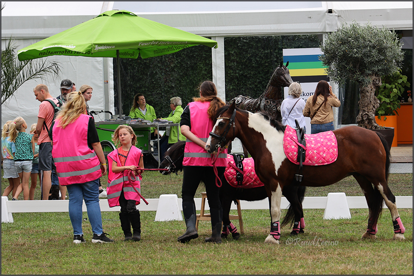 Paardenspektakel @Beekbergen