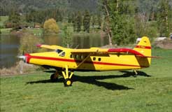 C-FMAU