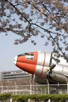 C-46 looking pretty!