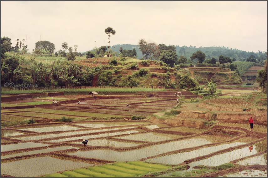 Indonesia travelogue 1981 - Ruud Leeuw (c)