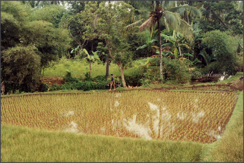 Indonesia travelogue 1981 - Ruud Leeuw (c)