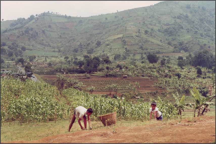 Indonesia travelogue 1981 - Ruud Leeuw (c)