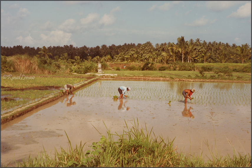 Travelogue Bali 1981 - Ruud Leeuw (c)