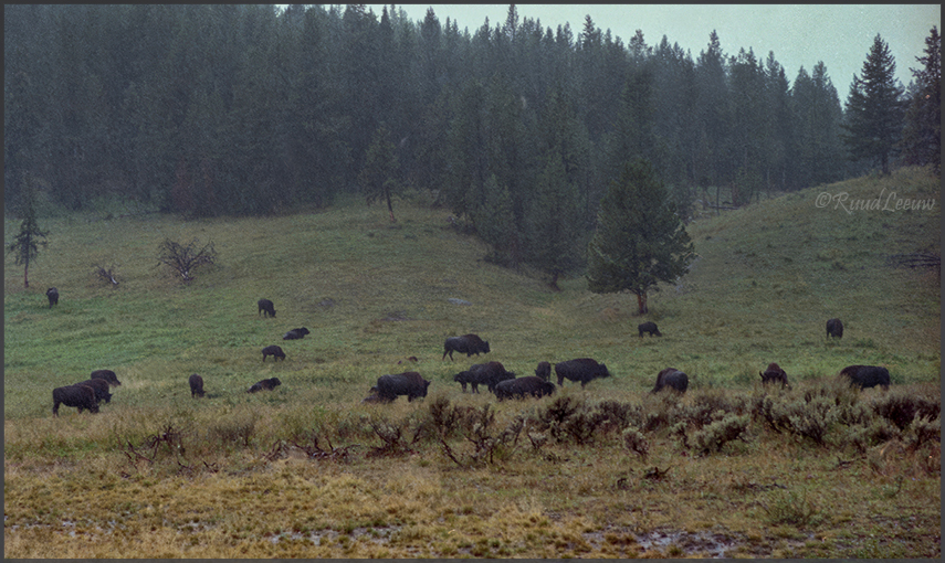 USCan 1986 - travelogue by Ruud Leeuw
