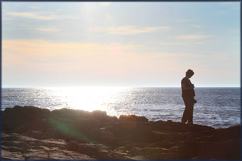 Travel USA & Canada 2011, a roadtrip