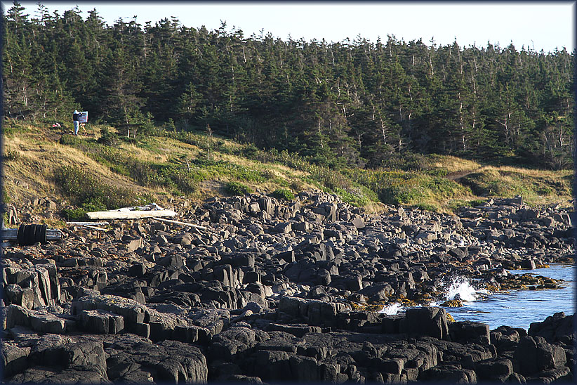 Travel USA & Canada 2011, a roadtrip