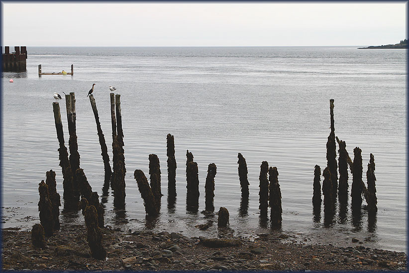 Travel USA & Canada 2011, a roadtrip