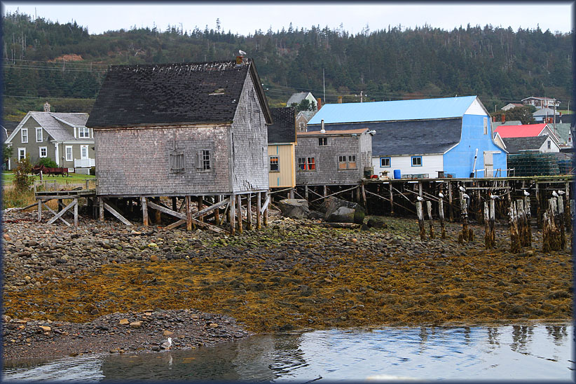 Travel USA & Canada 2011, a roadtrip