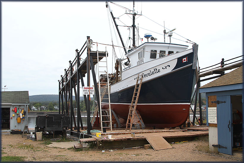 Travel USA & Canada 2011, a roadtrip