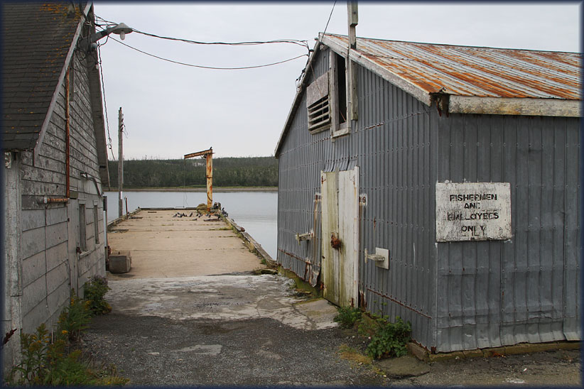 Travel USA &amp;amp; Canada 2011, a roadtrip