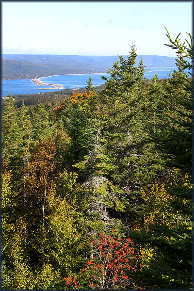 Travel USA &amp;amp; Canada 2011, a roadtrip