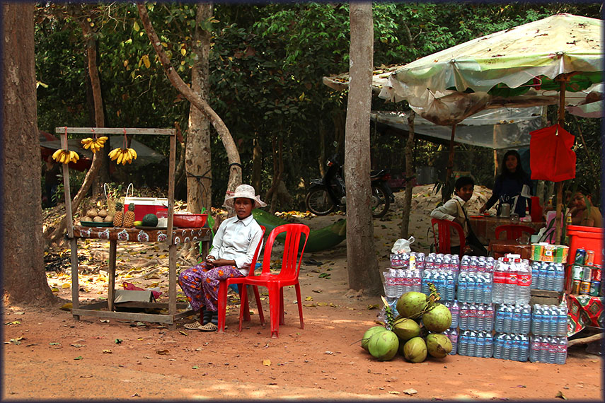 Angkor temples, Cambodia (2013)