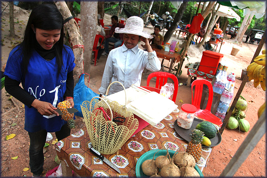 Angkor temples, Cambodia (2013)