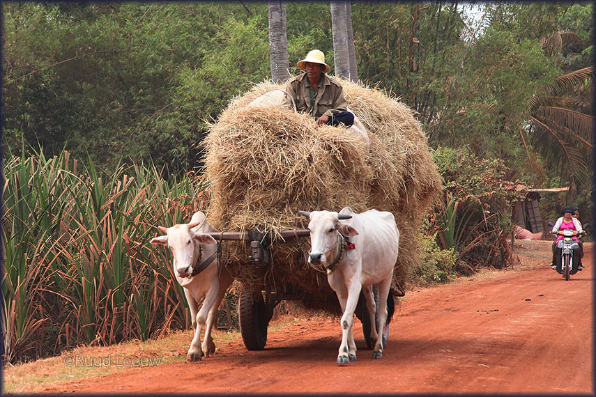 Kompong Phluk excursion, Cambodia 2013