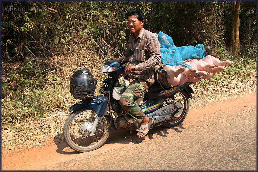 Kompong Phluk excursion, Cambodia 2013