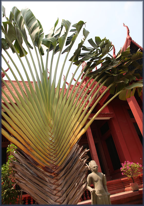 Visit to Phnom Penh, Cambodia 3-2013