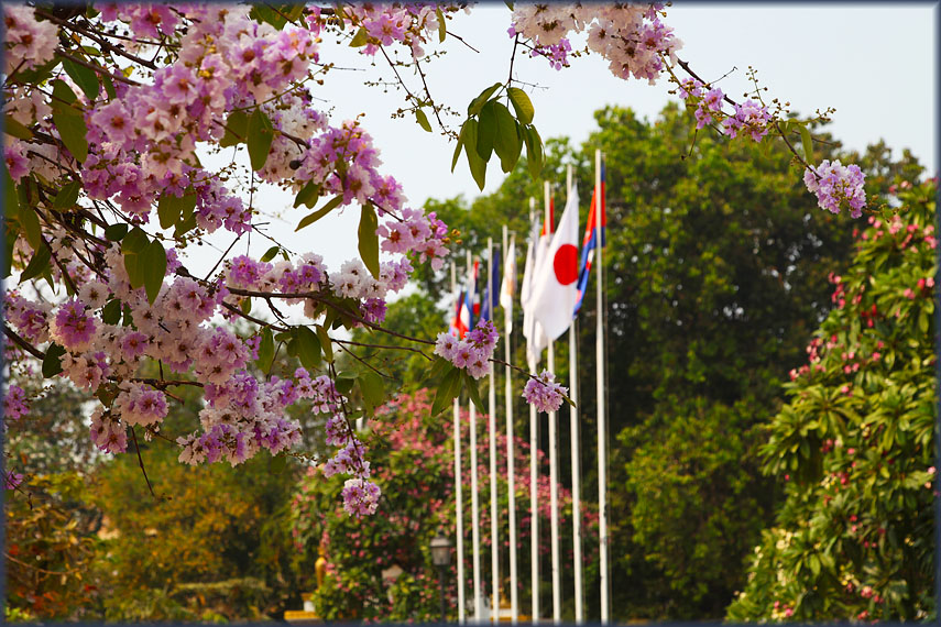 Visit to Phnom Penh, Cambodia 3-2013